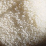 麹米・掛米・酒母米とは～造る段階で使い分けられる酒米～